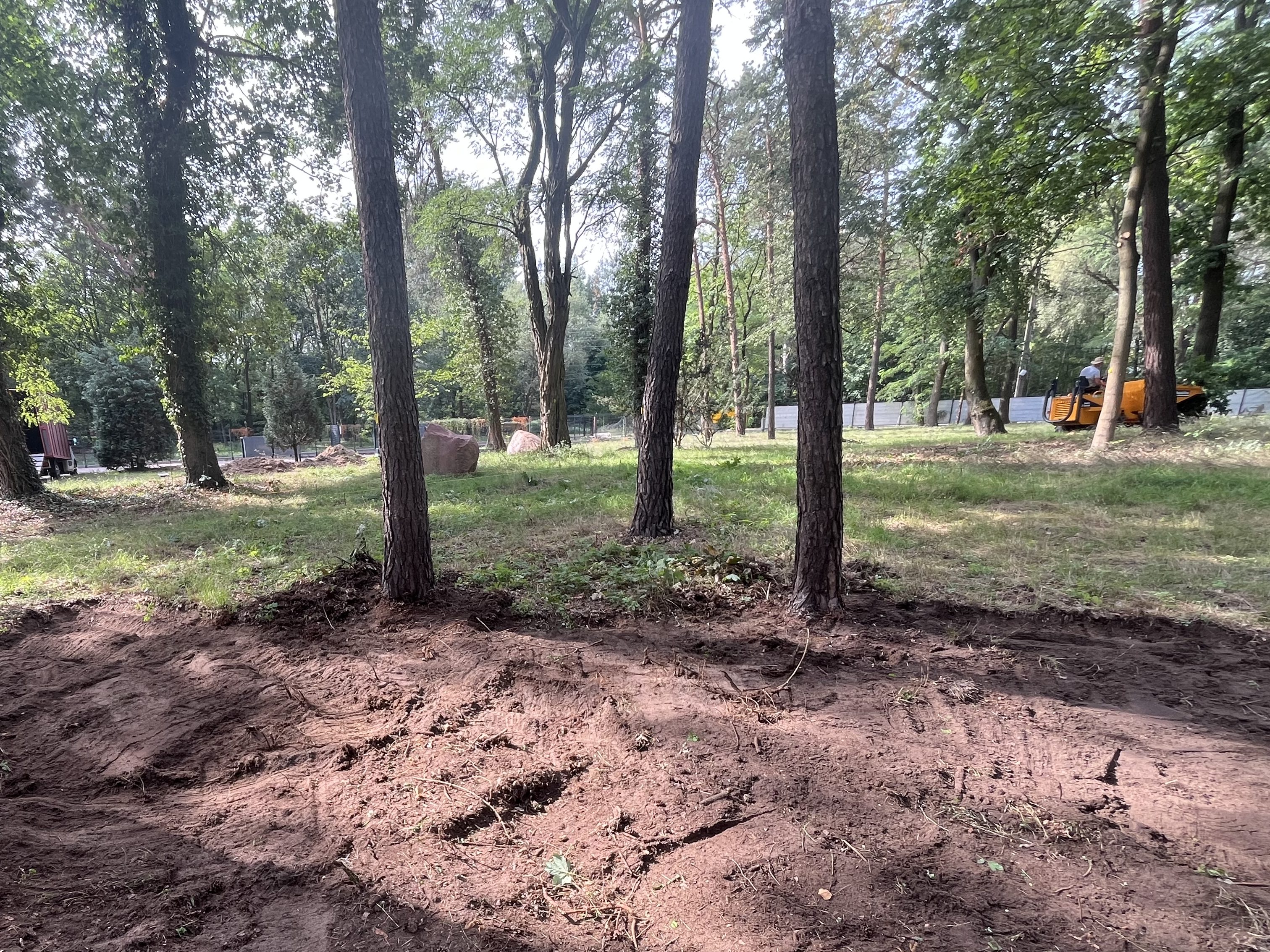 Ogród przed realizacją – widok 4