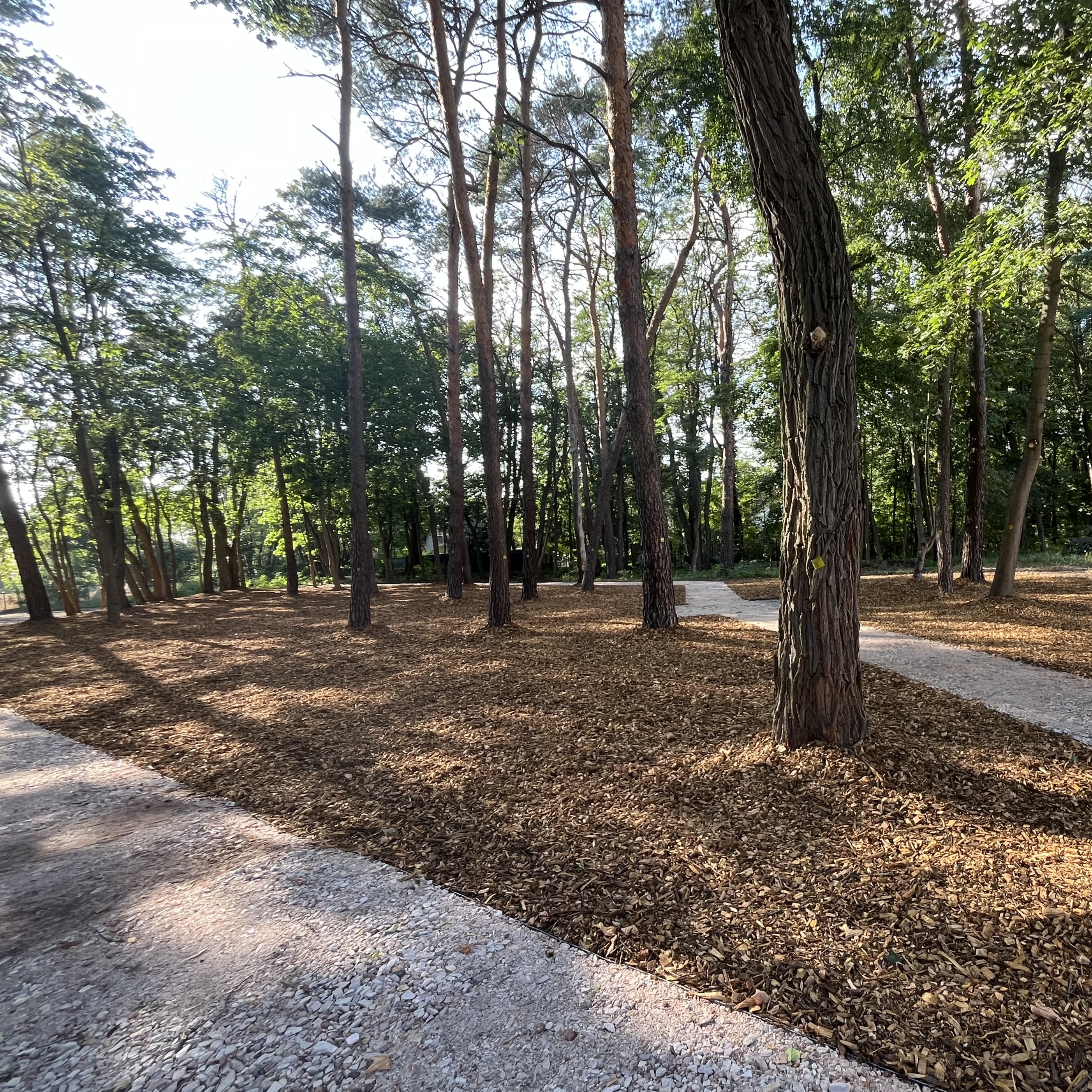 Ogród po realizacji – widok 1